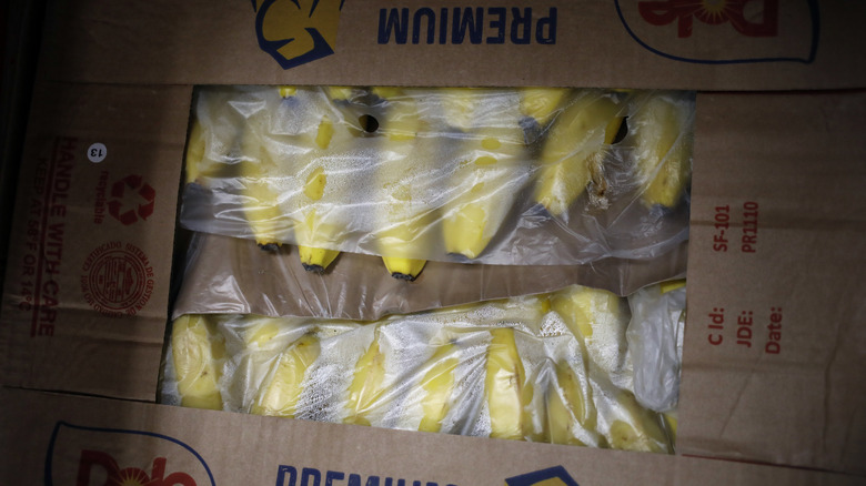 Shipping box of bananas