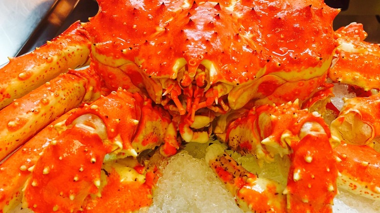 Alaskan King Crab