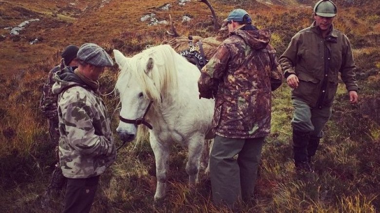 show crew with a horse