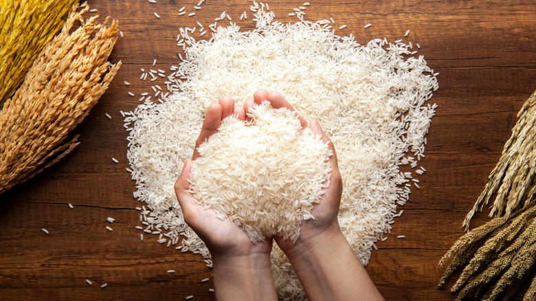 Rice held by two hands