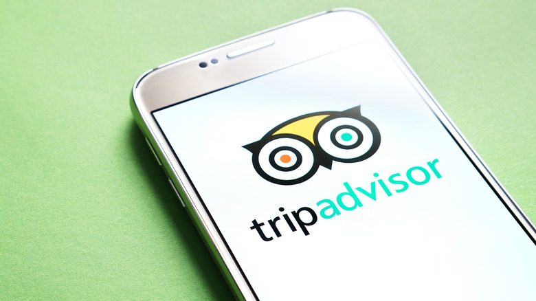 The TripAdvisor logo on a smartphone