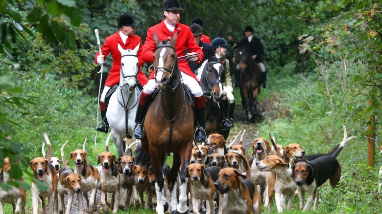 Hunting on horseback