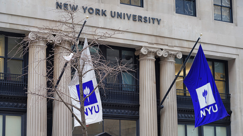 New York University