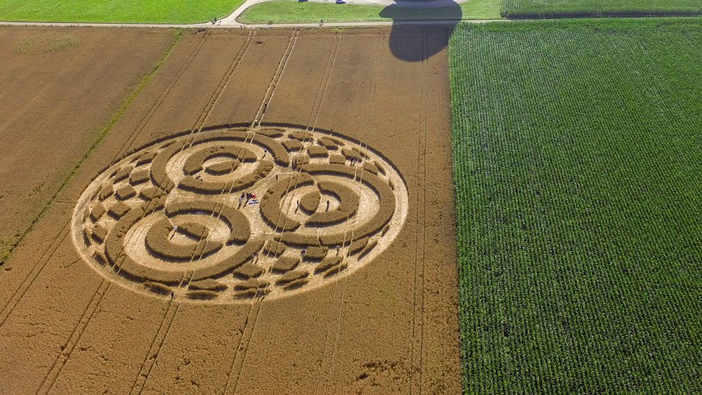 butterfinger crop circle