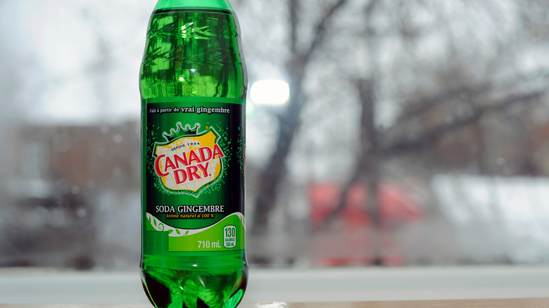 Bottle of Canada Dry ginger ale