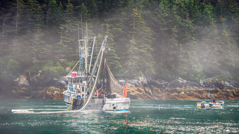 Alaska fishing boat casting nets