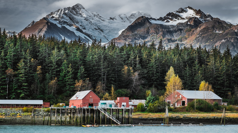 Alaskan salmon cannery in front of forest and mountains