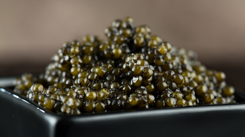 caviar