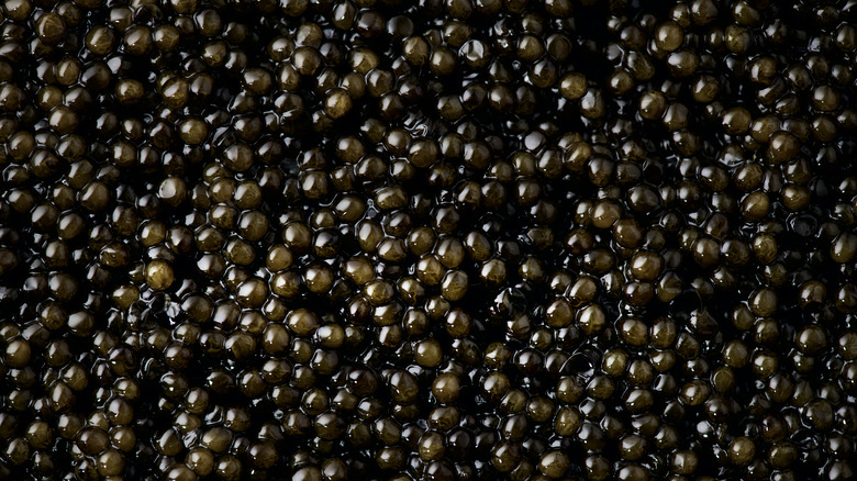 caviar