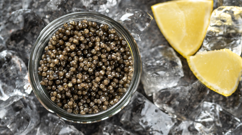 caviar