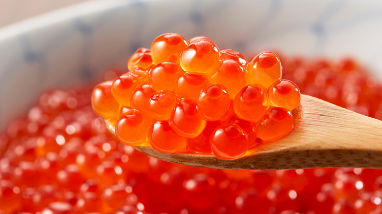 salmon roe