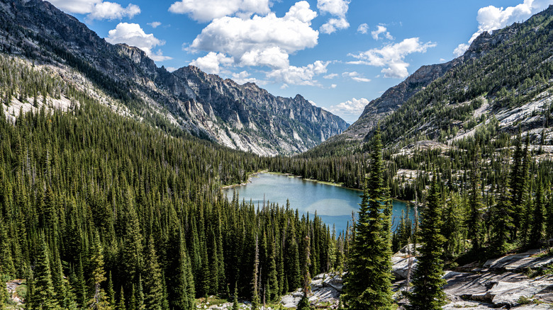 Montana landscape