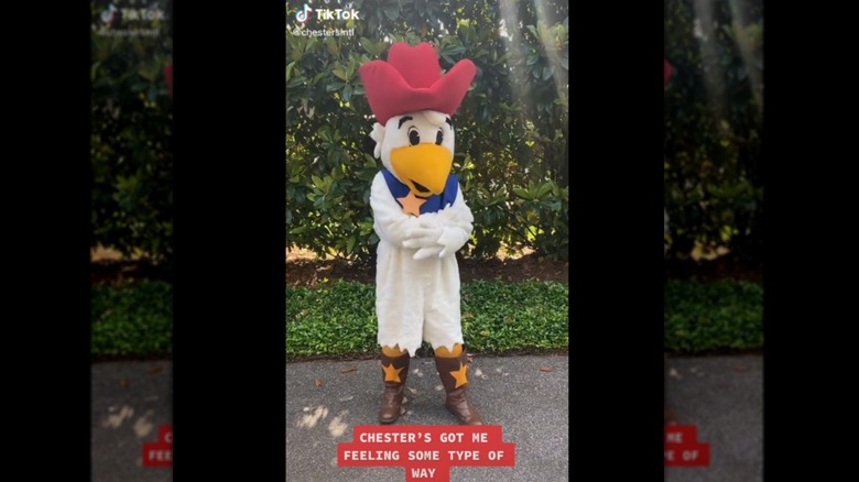 The Chester's Chicken mascot dancing to a song