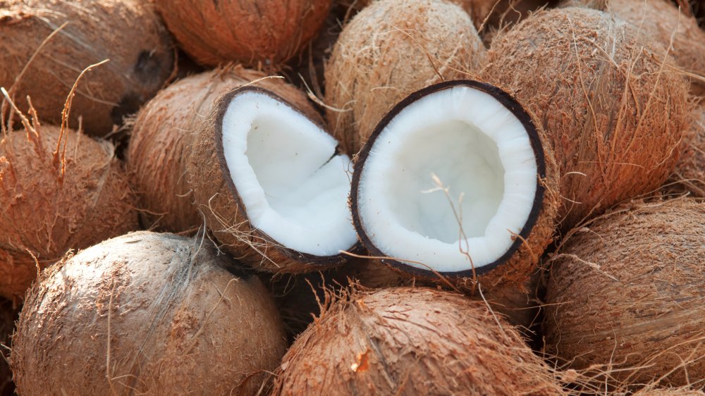 tree nut allergies allergic to coconut milk