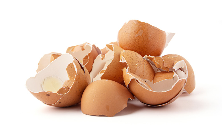 Broken eggshells on a white background