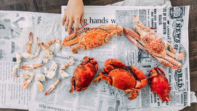 Crab meat on newspaper