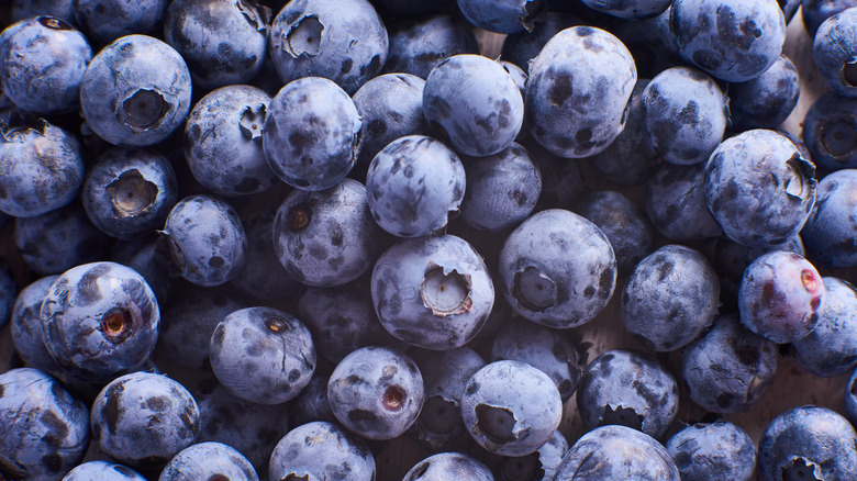 Blueberries closeup