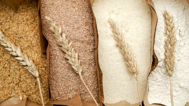 different types of wheat grain