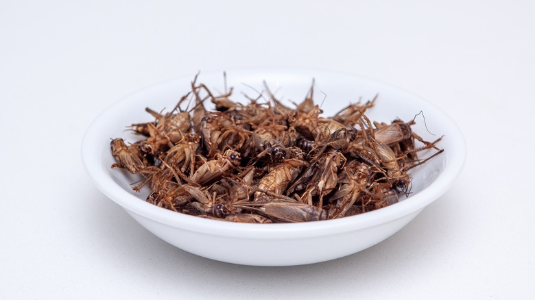 Bowl of crickets