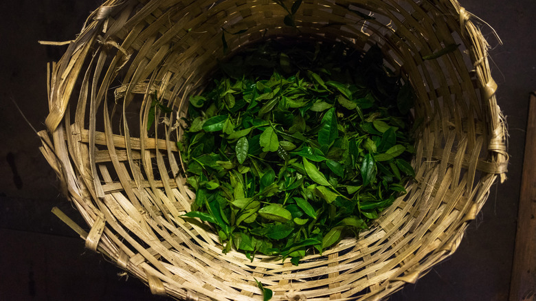 tea leaves basket