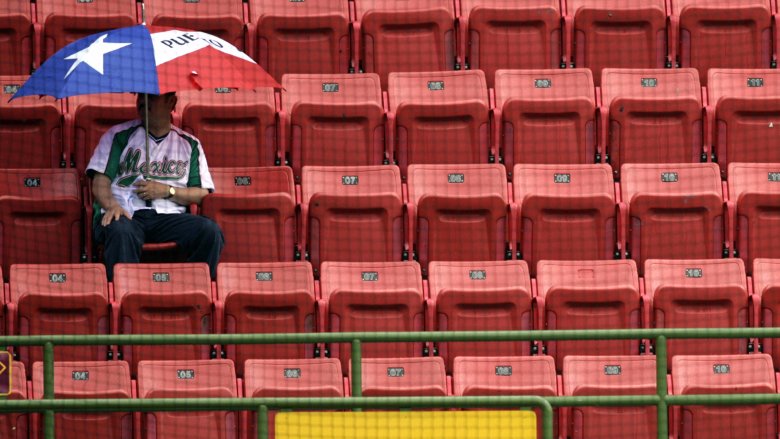 lonely baseball fan