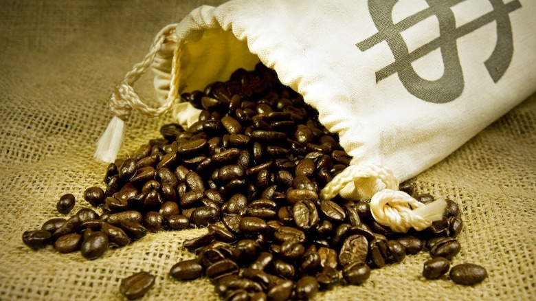 Dutch Bros coffee profits