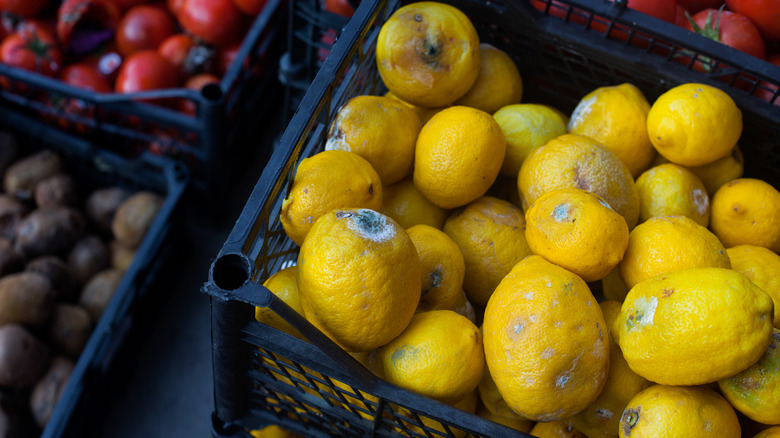 Moldy lemons