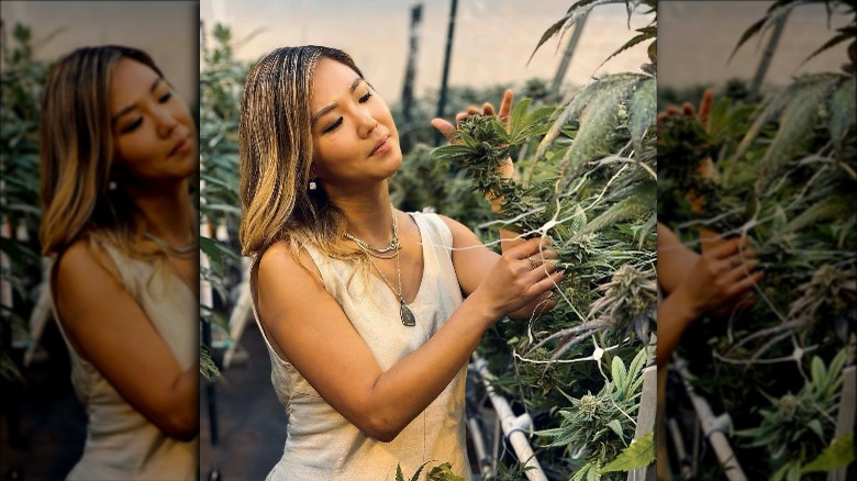 Esther Choi with cannabis plant