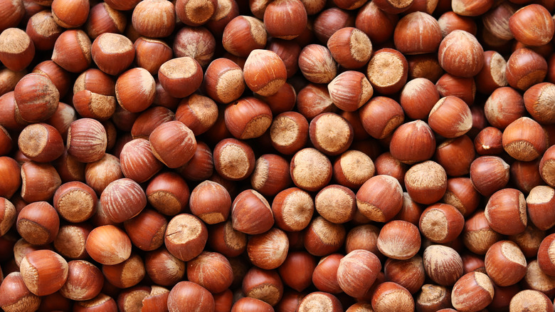 lots and lots of hazelnuts