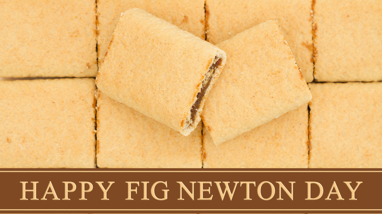 Fig Newton Day with cookies