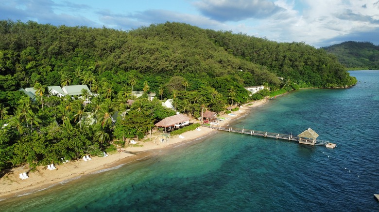 fiji island resort ocean trees sand 