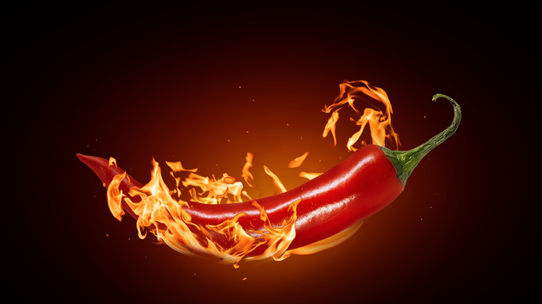 Red pepper on fire