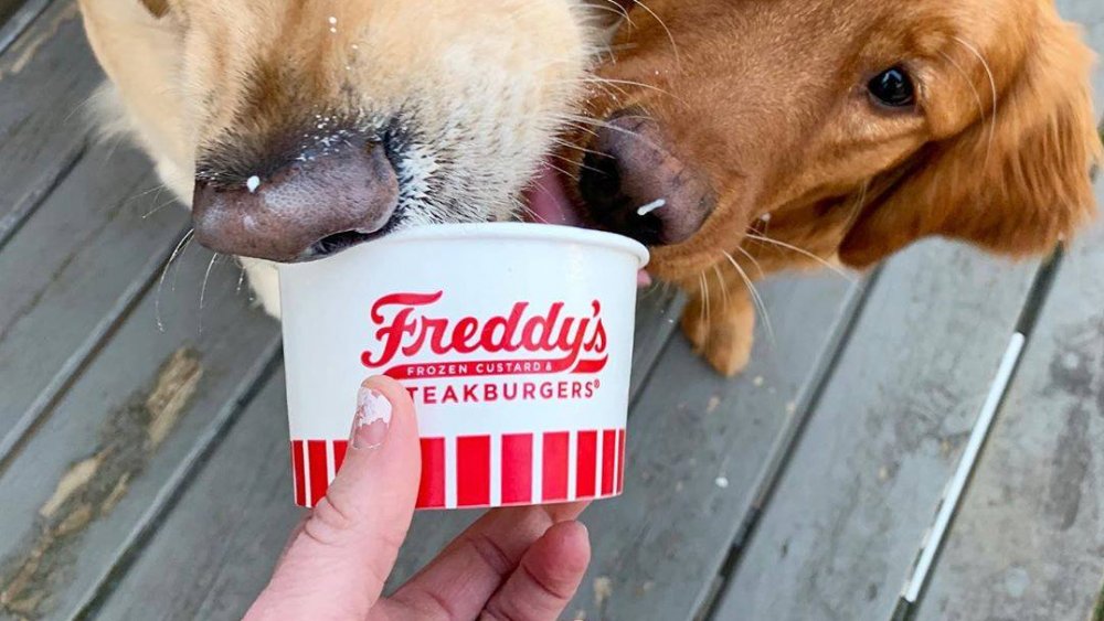 Freddy's Frozen Custard & Steakburgers social media