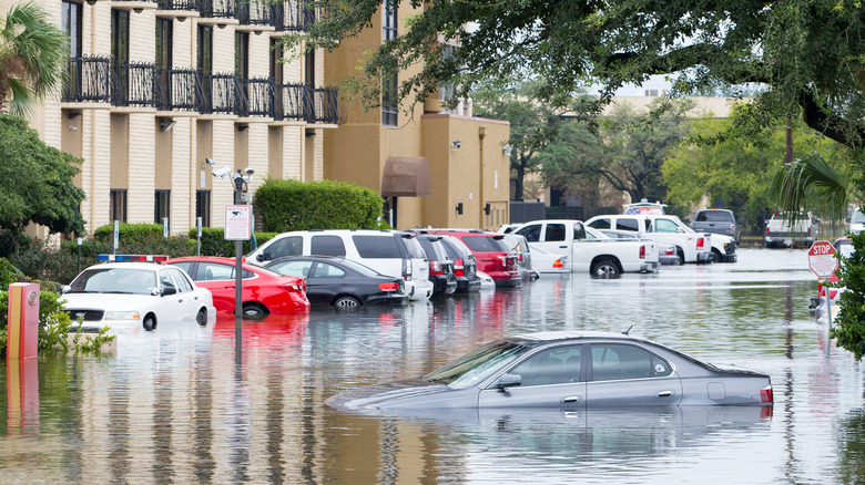 cars partly underwater from Hurricane Harvey