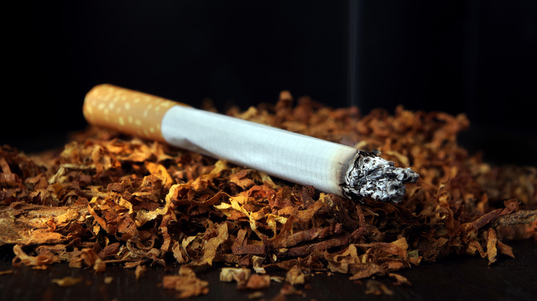 A cigarette on a pile of tobacco