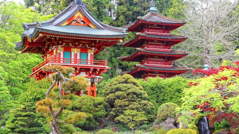 Japanese Tea Garden San Francisco