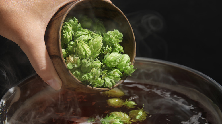 Hops being added to wort