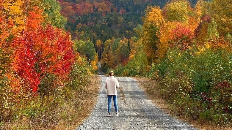 Lidey Heuck taking a walk on trail in forest with fall colors