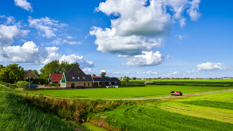 Farm landscape against blue sky