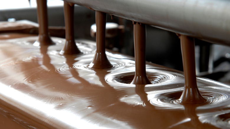 Chocolate factory production machinery