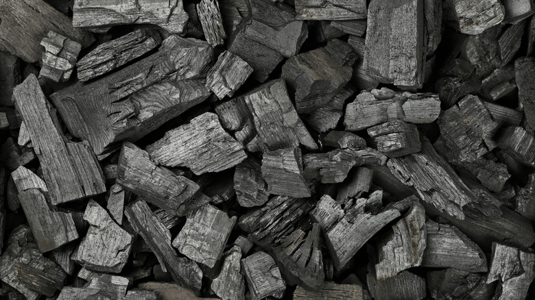 Chunks of irregularly shaped charcoal