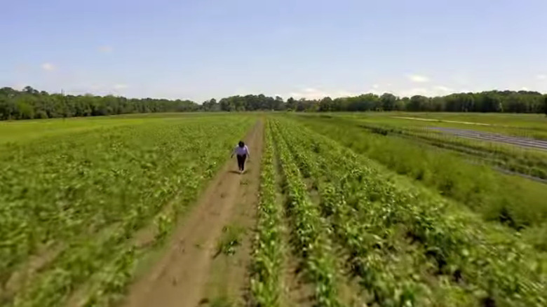 Kardea Brown walking