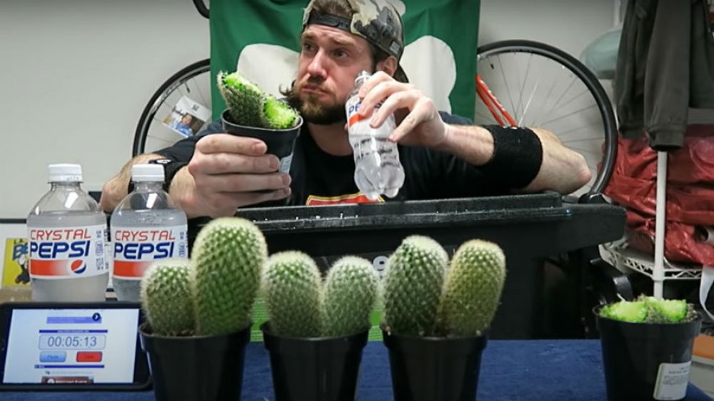 L.A. Beast cactus challenge