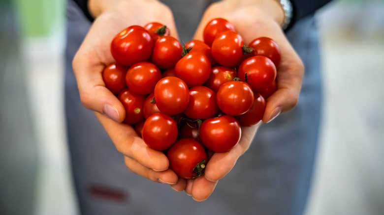 heart shaped tomato photo