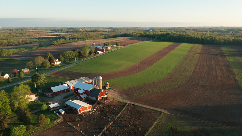 Farmland with a barn and grain silo