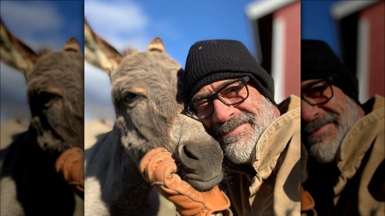 Jeffrey Morgan with a donkey