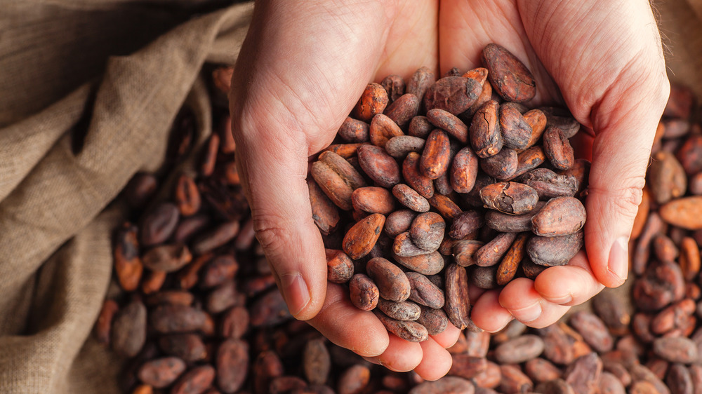 cocoa beans