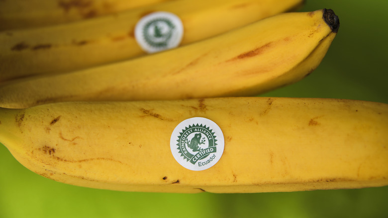 Rainforest Alliance-certified bananas