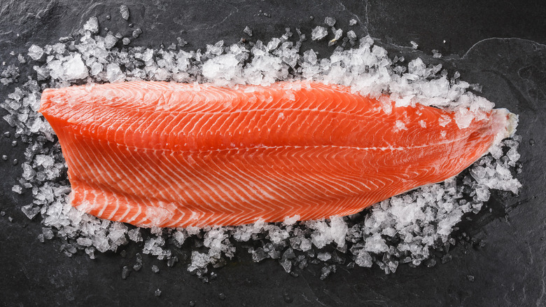 raw salmon on ice