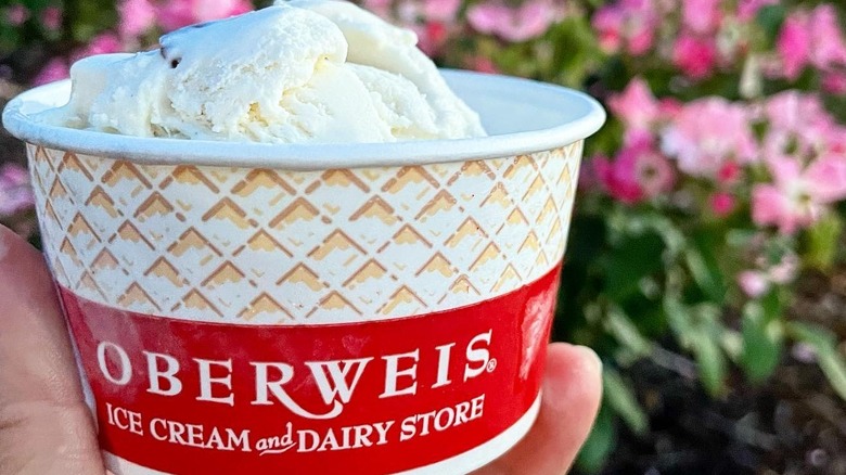 A cup of Oberweis Ice Cream